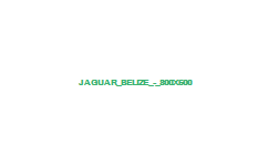 jaguar 800x600
